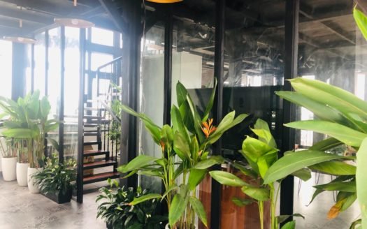 Cho thuê căn hộ 4 phòng ngủ ở 124 Âu Cơ, Tây Hồ, Hà Nội