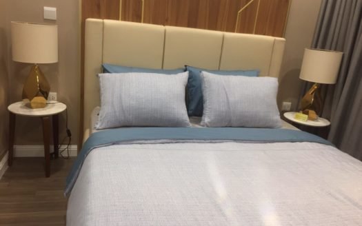 Cho thuê căn hộ 2 phòng ngủ ở chung cư cao cấp D’. El Dorado view Hồ Tây