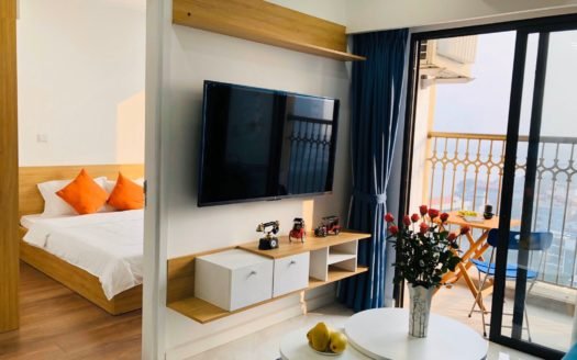 Cho thuê căn hộ 1 phòng ngủ cao cấp D’ El Dorado Tân Hoàng Minh, quận Tây Hồ, Hà Nội