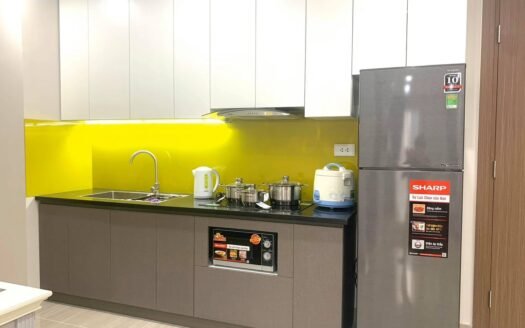 Cho thuê căn 2 ngủ, 58m2, view thoáng giá 10tr/th tòa L3 Ciputra