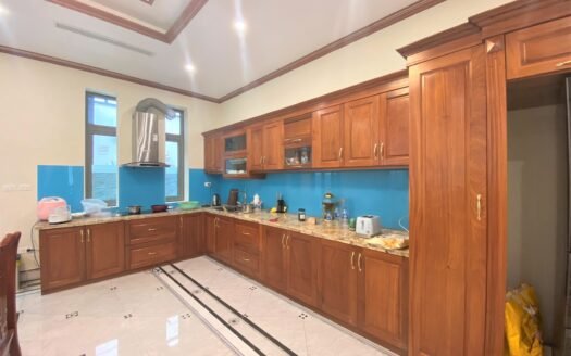 Cho thuê biệt thự song lập 192m2, 4 phòng ngủ tại Vinhomes The Harmony