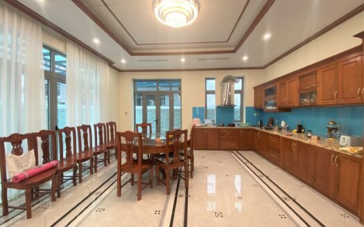 Cho thuê biệt thự song lập 192m2, 4 phòng ngủ tại Vinhomes The Harmony