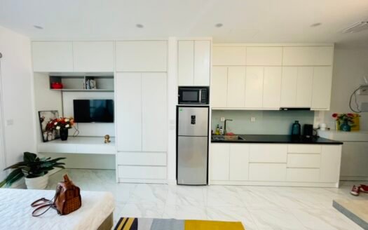 Chuyển nhượng căn studio 36m2 view thoáng sổ 50 năm tại D’. El Dorado