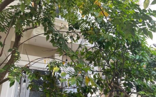 Chính chủ bán biệt thự 5 ngủ, 217.5m2 hướng Tây Nam khu C5 Ciputra